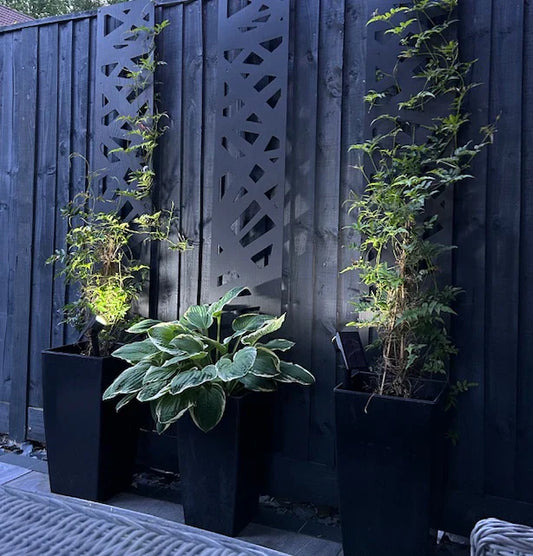 The Ultimate Guide to Garden Privacy for Small Spaces