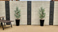 Moucharabiya 3 Black Large Screens & 3 Trellis Bundle - Screen With Envy