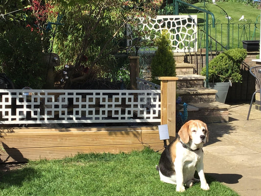 Cubed Trellis - Screen With Envy