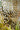 Moucharabiya Gold Mirror Tiles - Screen With Envy