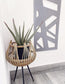 Kerplunk Interior Trellis - Screen With Envy